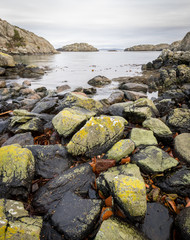 Fototapeta na wymiar Rocks covered in lichen, the ocean and islands in the background. Urd island at the Rovaer archipelago in Haugesund, norwegian west coast. vertical image