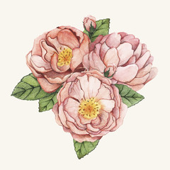 Illustration hand drawn of flower