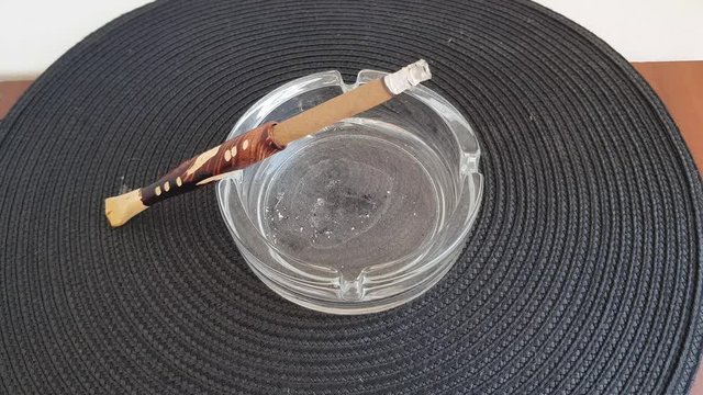 Smoldering cigarillo with a wooden mouthpiece in an ashtray with ash
