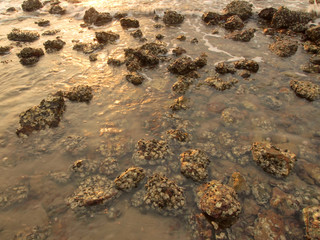 Slow shutter seascape view and beautiful sunrise