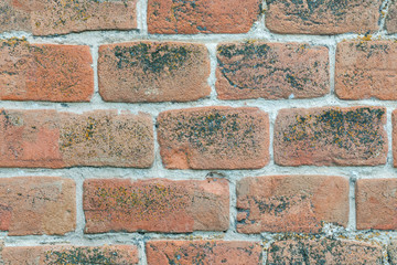seamless texture brick wall of red old brick