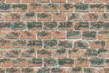 seamless texture brick wall of red old brick