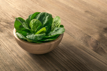 Fresh Spinach Leaves