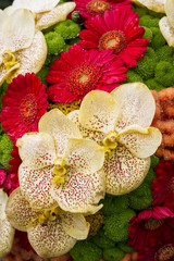 Orchidées et gerbera