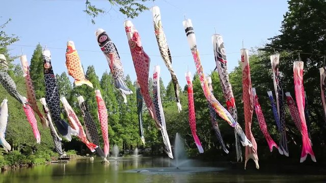 風にはためく鯉のぼり