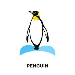 penguin logo isolated on white background for your web, mobile and app design