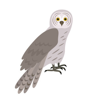 Cartoon owl icon on white background.
