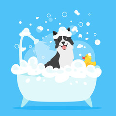 dog taking a bath