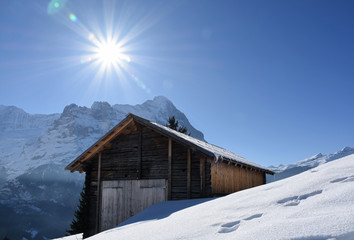 Wooden hut opposite to Eiger at a sunny winter day, Grindelwald, Switzerland