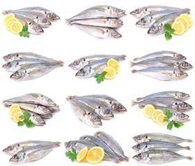 Fish horse mackerel