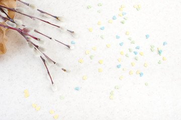 Spring background flat lay. Sprigs of pussy willow on a light background.