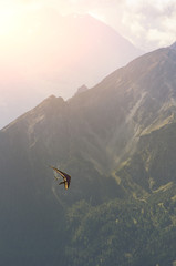 Hang glider high in the mountains. Extreme sport in the Alpine mountains