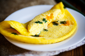 omelette from chicken eggs with green onion