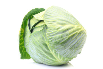 Fototapeta premium Fresh cabbage