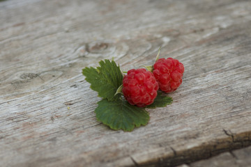 two raspberries close-up