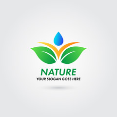 Fototapeta premium Logo Nature Leaf Water Drop Concept Template