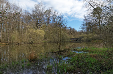 Pond in the upper Chevreuse valley regional nature park