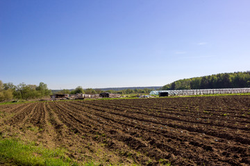 Fototapeta na wymiar Agricultural field with greenhouses 
