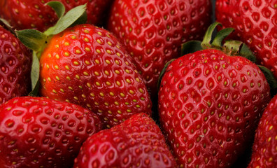 background from freshly strawberries