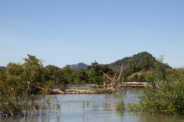 Stung Treng Cambodia, scene of the flooded forest in the Mekong river between Stung Treng and the Lao border in dry season
