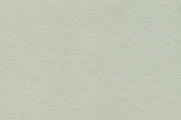 Light grey cover texture from vintage book.