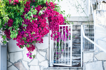 Beautiful wicket in a house surrounded by flowers. The concept of a fabulous entrance, at home
