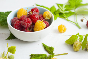red and rare yellow raspberry fruits on white wooden table background
