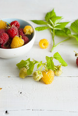 red and rare yellow raspberry fruits on white wooden table background