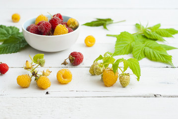 red and rare yellow raspberry fruits on white wooden table background