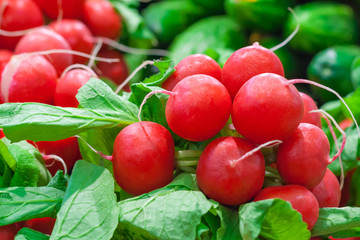 Close up view of a several bunches of radishes with shallow depth of field (background)