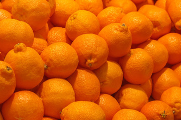A pile of orange Clementines fruits or minneola tangelo as background, texture - obrazy, fototapety, plakaty