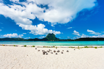Fototapeta na wymiar Bora Bora beach