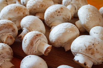 Champignon mushrooms, sacking mat and spices on wooden background