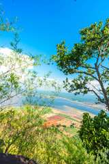 Obraz premium landscape with trees and blue sky