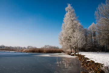 Lindenweiher im Winter