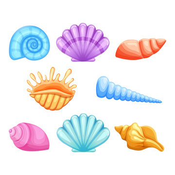 Colorful seashells  in cartoon style isolated on white background. Vector set.