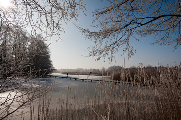 Lindenweiher im Winter