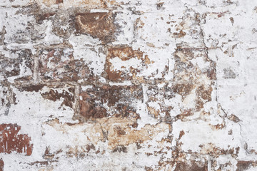 Beautiful Wallpapers for your computer. Horizontal. Close up.