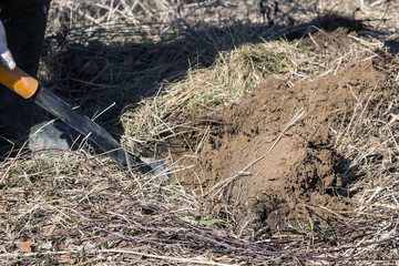 treasure hunter finds