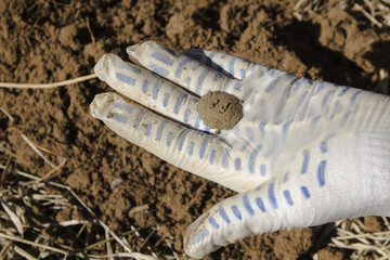 treasure hunter finds
