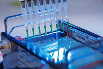 loading amplified DNA samples to agarose gel with multichannel pipette
