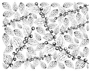 Fototapeta premium Hand Drawn Background of Jackal Jujube Fruits