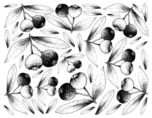 Hand Drawn Background of Fresh Brush Cherries