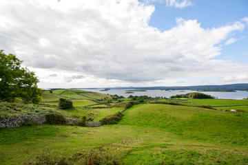Fototapeta na wymiar grüne Weidefelder und Wiesen mit Blick auf den Lough Corrib in Irland