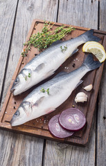 Raw sea bass fish