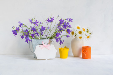 Home interior and garden concept