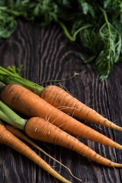 Freshly grown carrots on wooden table