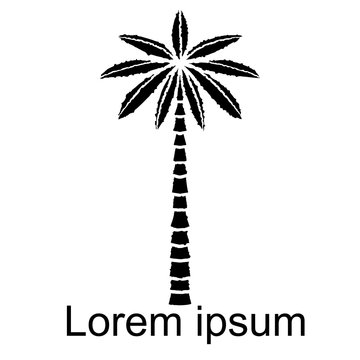 Coconut palm tree icon, logo
