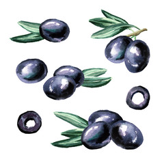 Black sweet olives set. Watercolor hand drawn illustration  isolated on white background