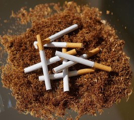 Heap of herbal smoking tobacco and cigarettes on glass surface